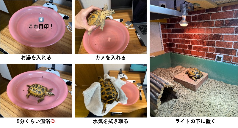 カルちゃんをお風呂に入れている様子